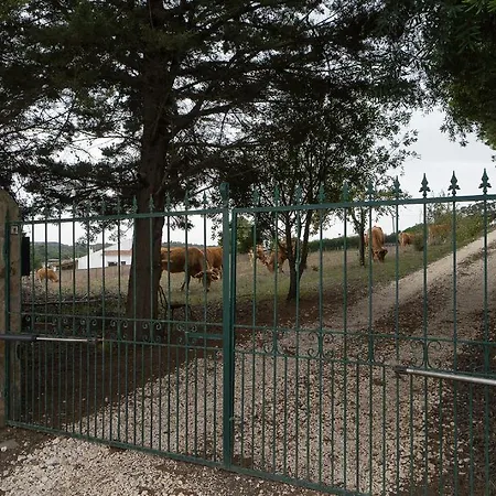 Akivillas Nature Ii